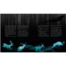 Гаррі Поттер і в’язень Азкабану. Велике ілюстроване видання