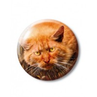 Коти-Вояки. Цикл 4. Знамення зореклану. Подарунковий комплект із 6 книг 