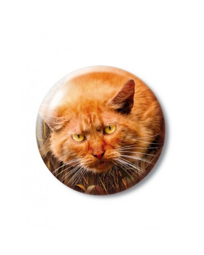 Коти-Вояки. Цикл 4. Знамення зореклану. Подарунковий комплект із 6 книг 