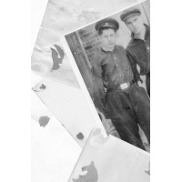 Хлібне перемир'я