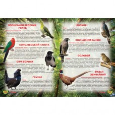 Ілюстрований атлас живої природи