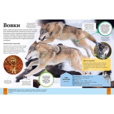 Дитяча енциклопедія тварин